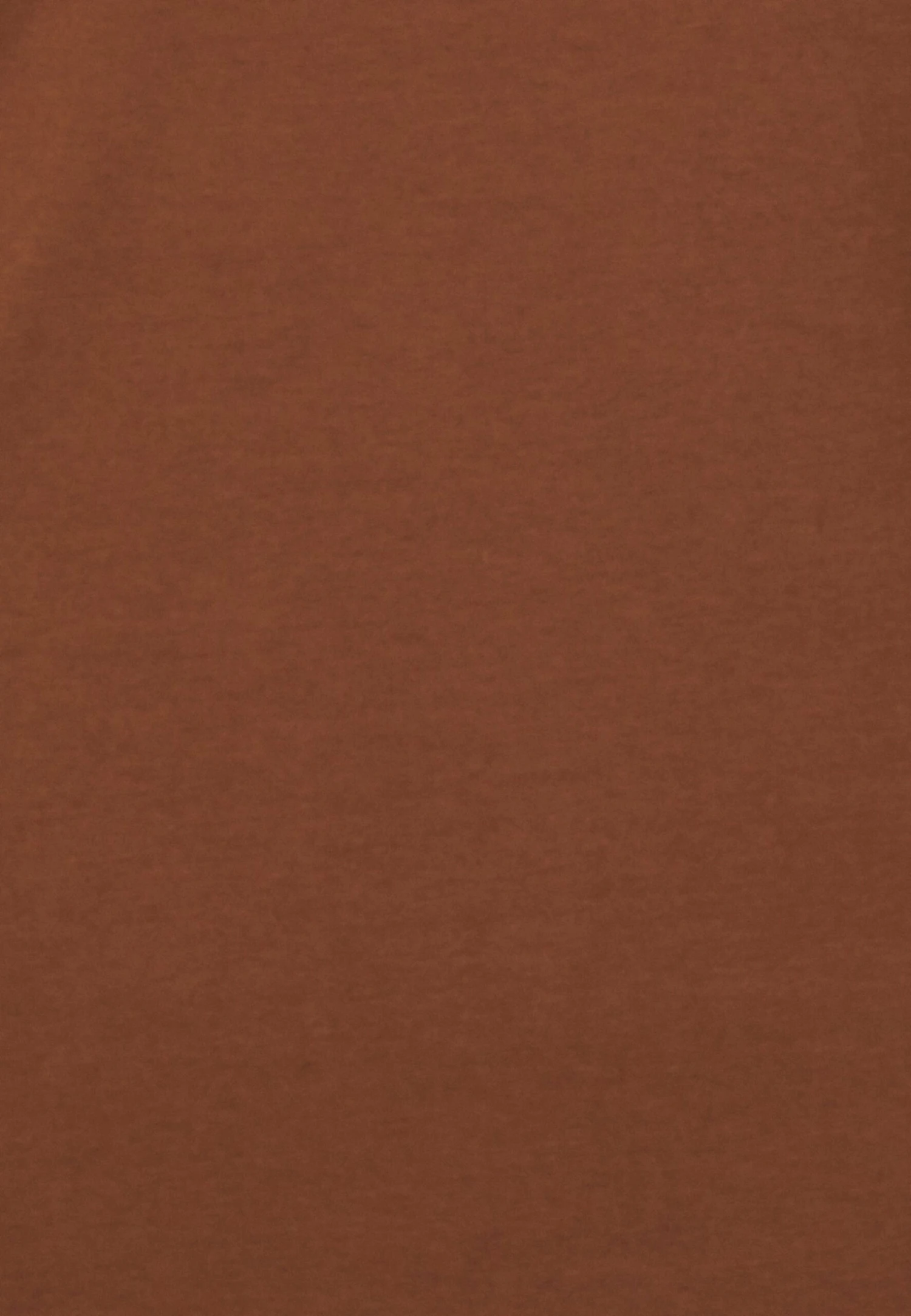 Anna Field 2 PACK - Bluzka Z Długim Rękawem - Brown/white - obrazek 6